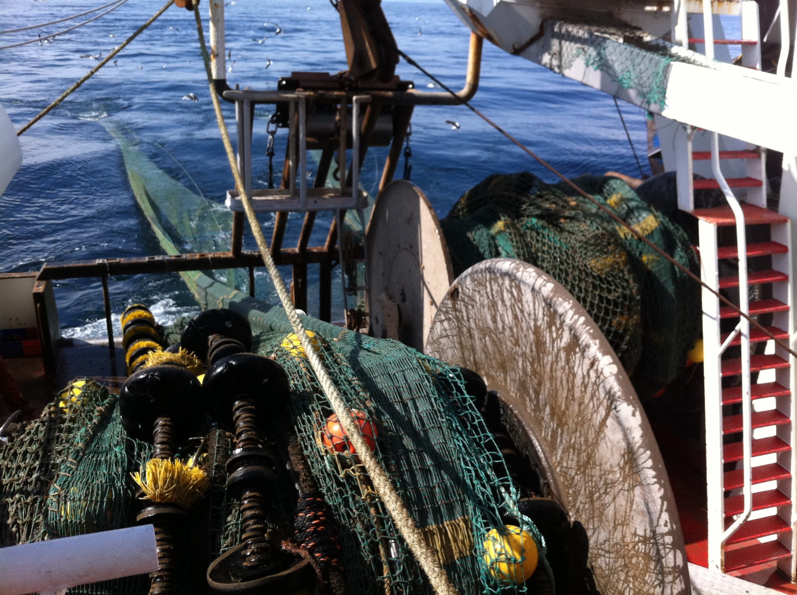 Har du taget årets bedste foto på havet af fiskeri? - Fiskeri Tidende