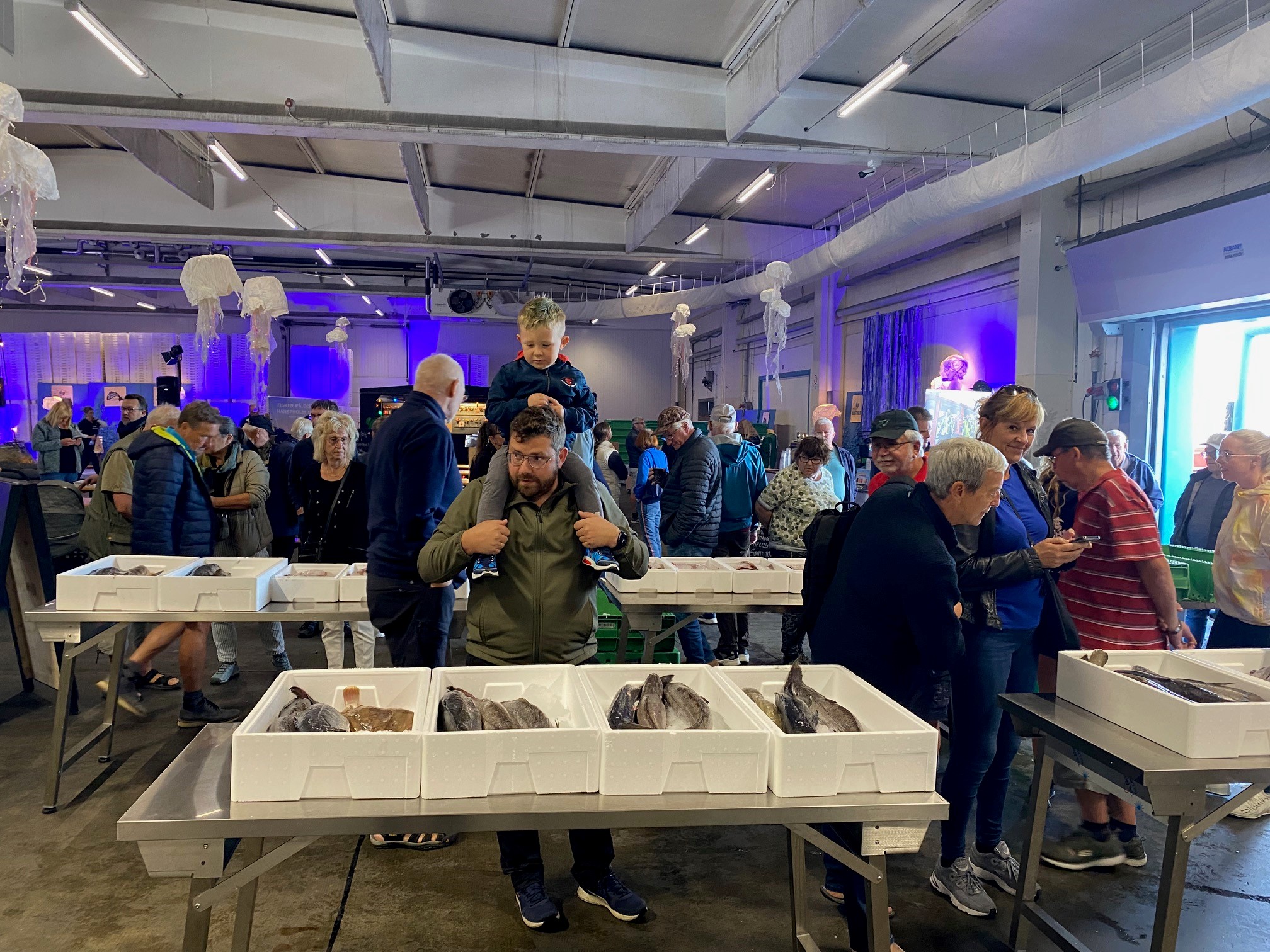 Fisken kommer på disken i Hanstholm - Fiskeri Tidende
